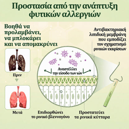 ⛲ 【Επίσημο Ηλεκτρονικό Κατάστημα】𝐇𝐞𝐚𝐥𝐫𝐢𝐳𝐞® Εισπνευστήρας Καθαρισμού Πνευμόνων & Διευκόλυνσης της Αναπνοής με Βότανα και Αλογοουρά 🌿 (Καταστολή βήχα, διάλυση βλέννας, δύσπνοια και φροντίδα πνευμόνων καπνιστή) 🚚 Διαθέσιμο