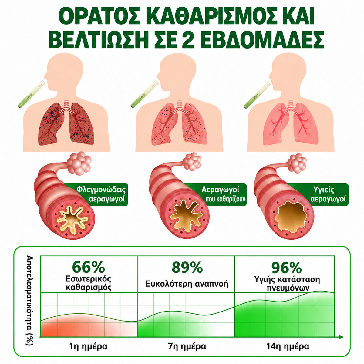 ⛲ 【Επίσημο Ηλεκτρονικό Κατάστημα】𝐇𝐞𝐚𝐥𝐫𝐢𝐳𝐞® Εισπνευστήρας Καθαρισμού Πνευμόνων & Διευκόλυνσης της Αναπνοής με Βότανα και Αλογοουρά 🌿 (Καταστολή βήχα, διάλυση βλέννας, δύσπνοια και φροντίδα πνευμόνων καπνιστή) 🚚 Διαθέσιμο